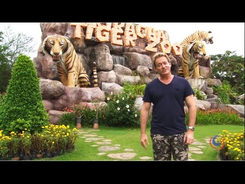 sriracha tiger zoo in thailand