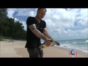 Turtle Heaven in Phang Nga Province | Khao Lak